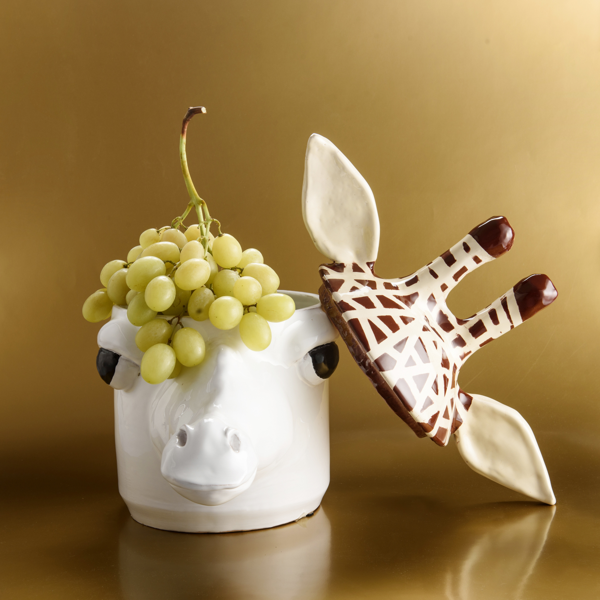 Contenitore Giraffa